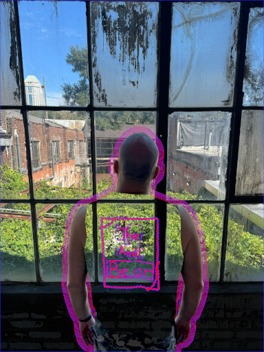 The Anvil Bear Invisible Variant